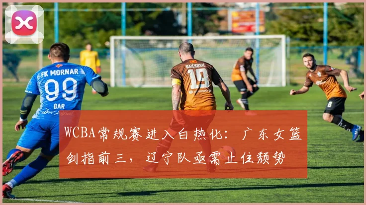 WCBA常规赛进入白热化：广东女篮剑指前三，辽宁队亟需止住颓势