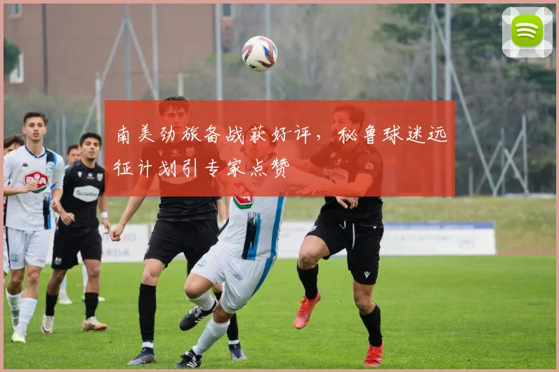 南美劲旅备战获好评，秘鲁球迷远征计划引专家点赞